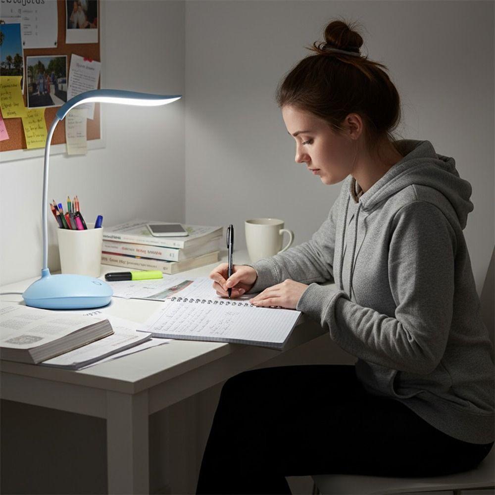 LED Reading Lamp USB Charging Night Light Foldable Desk Lamp  School Prize