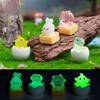 Micro-landscape Luminous Eggshell Chicken Little Crocodile Figurine Decorative Accessories Miniature Small Ornaments