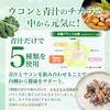 Ginza Marukan Aojiru Vinegar (120g) - Approximately 480 Capsules, Aojiru, Dietary Fiber, Supplement, Barley Leaf, Black Vinegar Extract