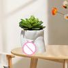 Полезный горшок для растений Креативный Легкий Декоративный