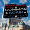 1pc "Make Common Sense Popular Again" Patriotic Satirical Flag with 2 Metal Grommets, 91.44x152.4cm / 121.92x182.88cm, Sturdy and Durable, for Indoor/