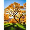 5D Алмазная картина Дерево Полная круглая дрель Вышивка крестом