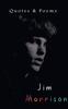 The Jim Morrison Book