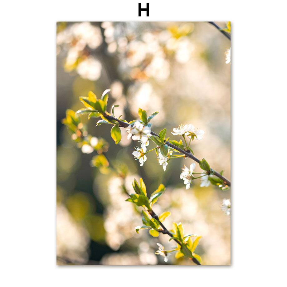 Гора, океан, водопад, девушка, ромашка, цитата, настенная живопись на холсте, постеры на скандинавскую тему и принты, настенные панно для декора гостиной