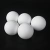 TZBN PTFE Teflon Balls for Diaphragm Pumps and Machine Tools