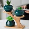 Bamboo Shelf Succulents Bonsai Organizer Tree Branch Shape Mini Flowerpot Holder  for Window