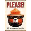 Warning Metal Tin Signs Plaque Prevent WildFires Wall Decoration Vintage Iron Painting Art Posters for Forest Home Cafe Club Bar