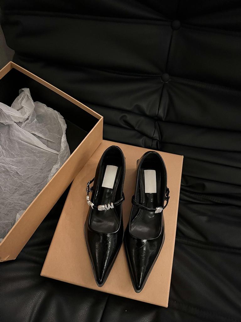 French Thick Heel Mary Jane Shoes Spring and Autumn Women's Shoes 2025 New Popular Pointed Small Leather Shoes Evening Silver Single Shoes