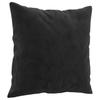 2 Piece Sofa Set with Cushions Black Velvet