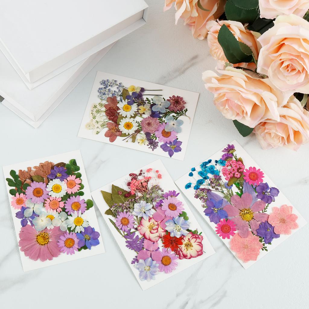 4Sheets Dried Flower DIY Bulk Scrapbooking Pressed Flower Resin Art Crafts Natural Dry Pressed Flowers Decor for Ornament Making