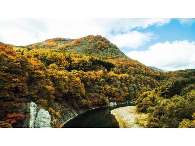 Осенняя смотровая машина Озаторо на железной дороге Айдзу из 4K Master (Блю рей) VB-6820 НОВЫЙ