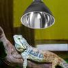 110-240V Pet Light Bulb Bracket Black UVB Reptile Lamp Heating Light Holder Reptile Terrarium