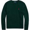 Polo FW22 сплошной логотип вышитый косами свитер мужской свитер зеленый MNPOSWE16821256-300