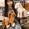 Cute Simulation Pony Doll Plush Toy Pony Doll Year of the Horse Mascot Boy Soothing Rag Doll