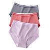 Thermal Underwear Plus Size Panties Women's Medium High Waist Briefs Thick Triangle Pants for Women