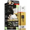 Easy Speedy Foam Hair Color #2N Black