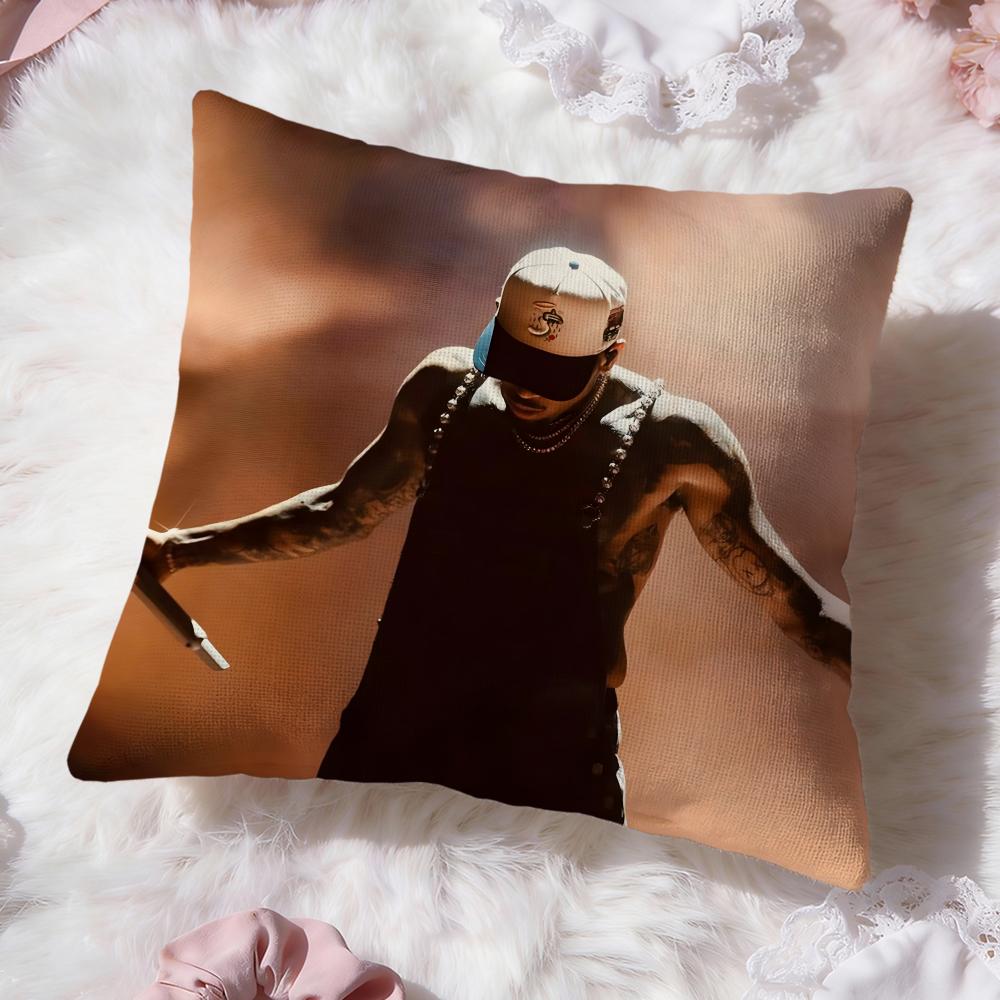 Горячая наволочка C-Chris Brown Cushion Cover Премиум-комфорт Двусторонняя наволочка - Дизайн «Два в одном» для любой комнаты и салона автомобиля