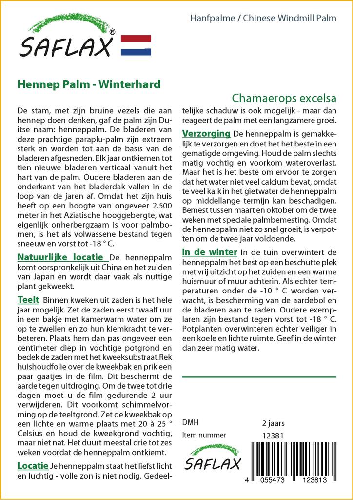 SAFLAX Пальма китайской ветряной мельницы - 10 семян - С горшечным субстратом для лучшего выращивания - Chamaerops excelsa