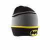 Batman Logo Beanie