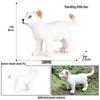 Realistic African Wildlife Lion Toy Set: Male, Female, and Mountain Lion for Children's Cognitive Learning