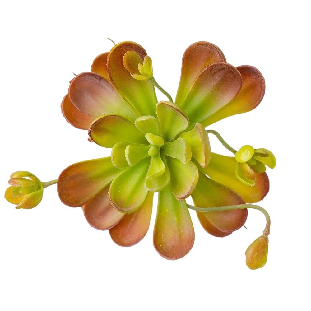 Fleshy Artificial Succulent Plant Lifelike Real Touch Fake Cactus Plastic Realistic Simulation Bonsai Plant Balcony Decoration