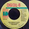 7inch Record CHEZIDEK - One Perfect Love NONE Digital-B 2004 Jamaica Reggae, Ska & Dub Used