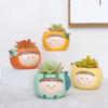 Милые фруктовые кашпо Декоративные цветочные горшки для суккулентов Настольные украшения для домашнего декора Карандашница Смола цветочный горшок