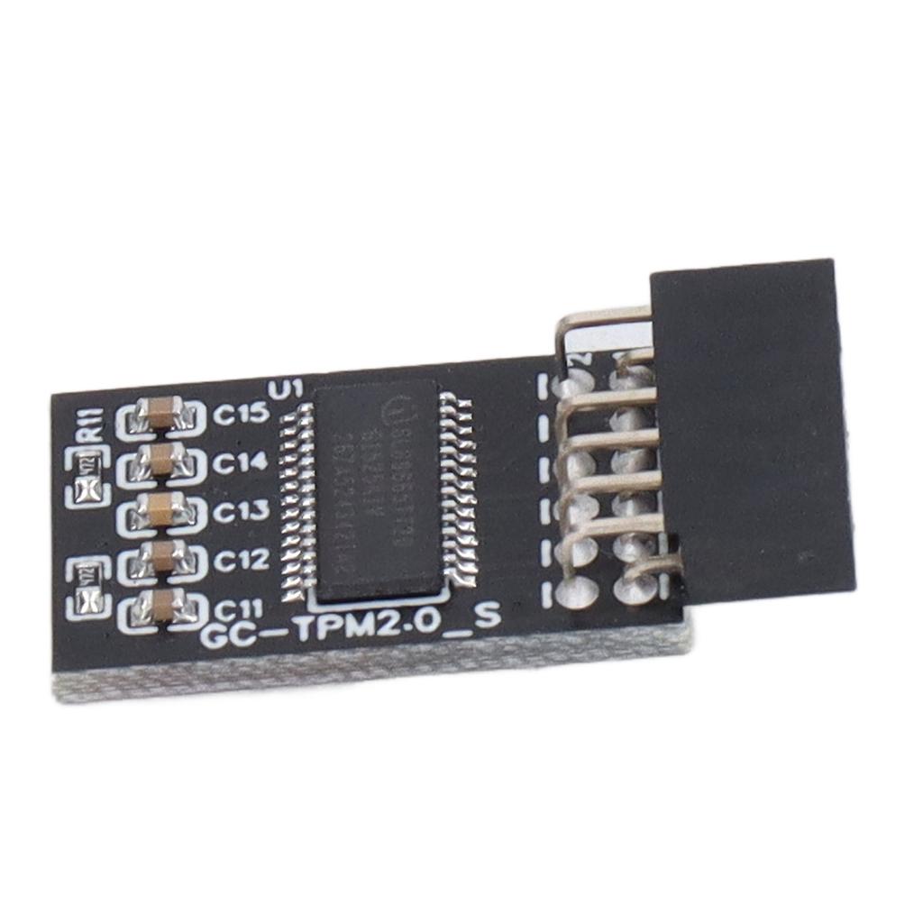 Модуль TPM 2.0 LPC SPI 12Pin Remote Card Encryption Security Board Аксессуар для GIGABYTE