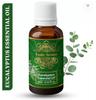 Pack of 2 Exotic Aromas Eucalyptus Essential Oil, 100% Pure and Natural, For Aromatherapy , Skin & Hair  (10 Ml X 2)
