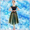Frozen Elsa Elsa Women Adult Adult Princess Dress Anna Dress Performance Dress Anna Princess Dress