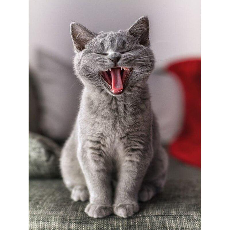 Cat DIY 5D Diamond Painting Rhinestone Animal Diamond Embroidery Cross Stitch Mosaic Full Round Drill Home Decor Art Gift