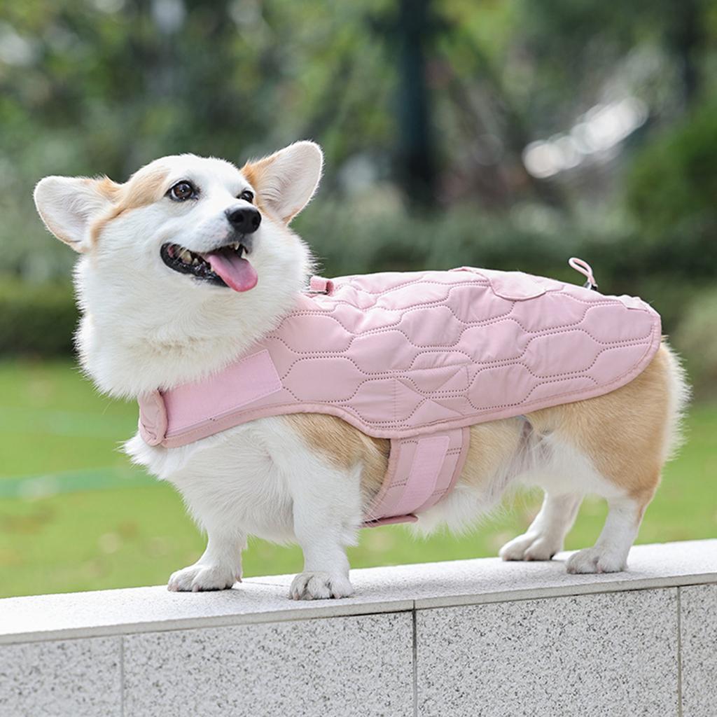 Зимняя одежда для кошек, модная одежда для вечеринок для домашних животных из полиэстера, термобелье для собак, защита от холодной погоды