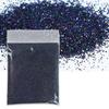 10g Holographic Glitter For Epoxy Resin Filling Laser Gold Silver Fine Powder Loose Sequins Silicone Mold Tumbler Art DIY Crafts