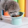 Tilted Cat Food Bowl Elevated Cat Bowl Ergonomic Tall Dog Bowl Anti Vomiting Plastic Feeding Bowl Non Slip for Flat- Faced Cats