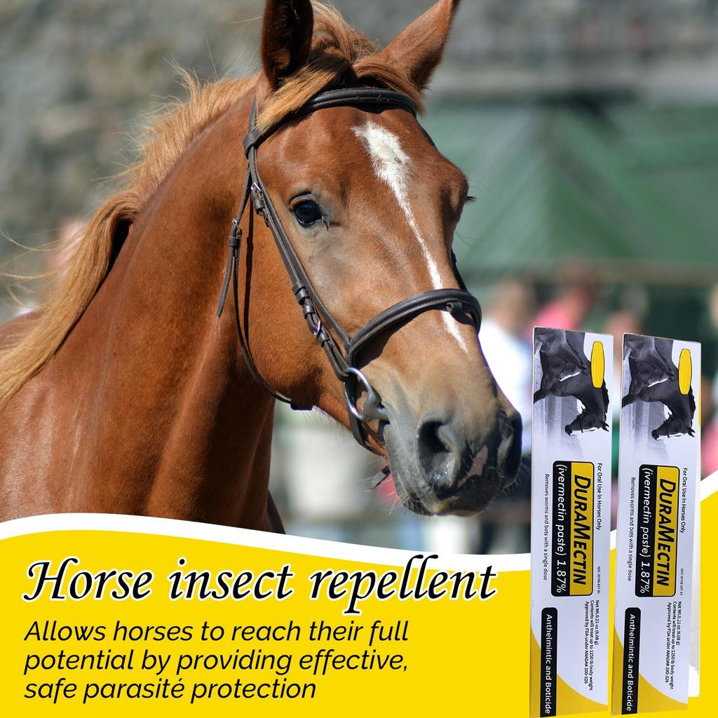 Flavored Horse Anthelmintic, Can Control Big Strongyle, Small Strongyle, Pinworm, Roundworm, Caterpillar, Big Stomach Worm, Horse Gastropod