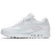 Air Max 90 Leather 302519-113