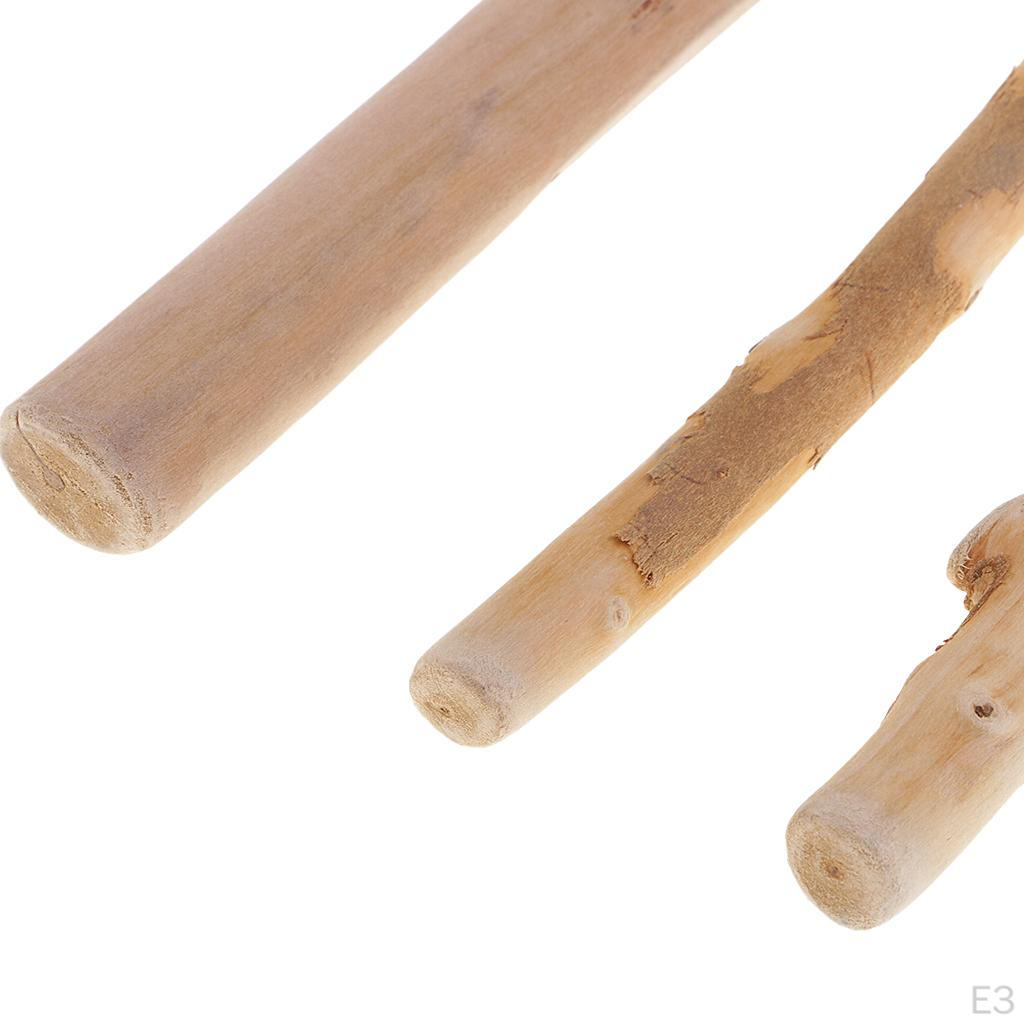 250 кусочков коряги, ломтики веток для поделок, поделки, скульптура, настенное искусство, пляжное зеркало, свеча