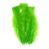 Turkey Feathers 12/18 Cm 25g Green