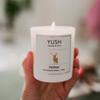 Piernik - świeca sojowa royal christmas - 160ml - yush