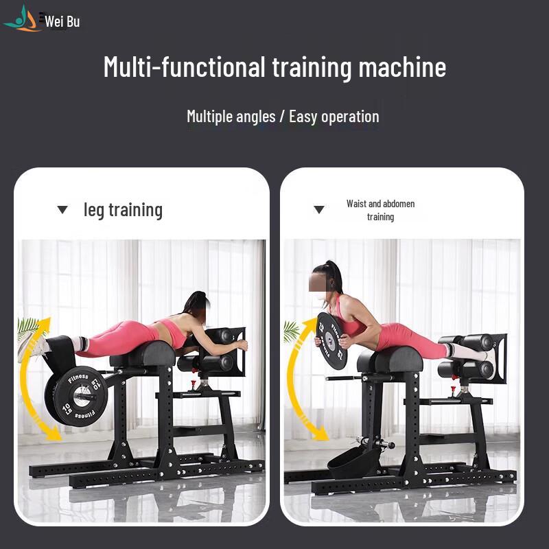 Weibu FW6230 Commercial Roman Chair & Hyperextension Bench
