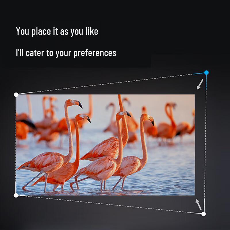 Xiaomi Projector Mini (CN version)