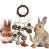 Pigs Teeth Grinding Natural Hanging Cage Accessories Molar Rattan Ring Buuny Chew Toy Rabbit Treats