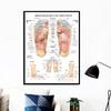 Scandinavian Simple Wall Art Acupuncture Points Diagram Anatomy Foot Reflexology Poster Print Home Bedroom Living Room Decor No Frame