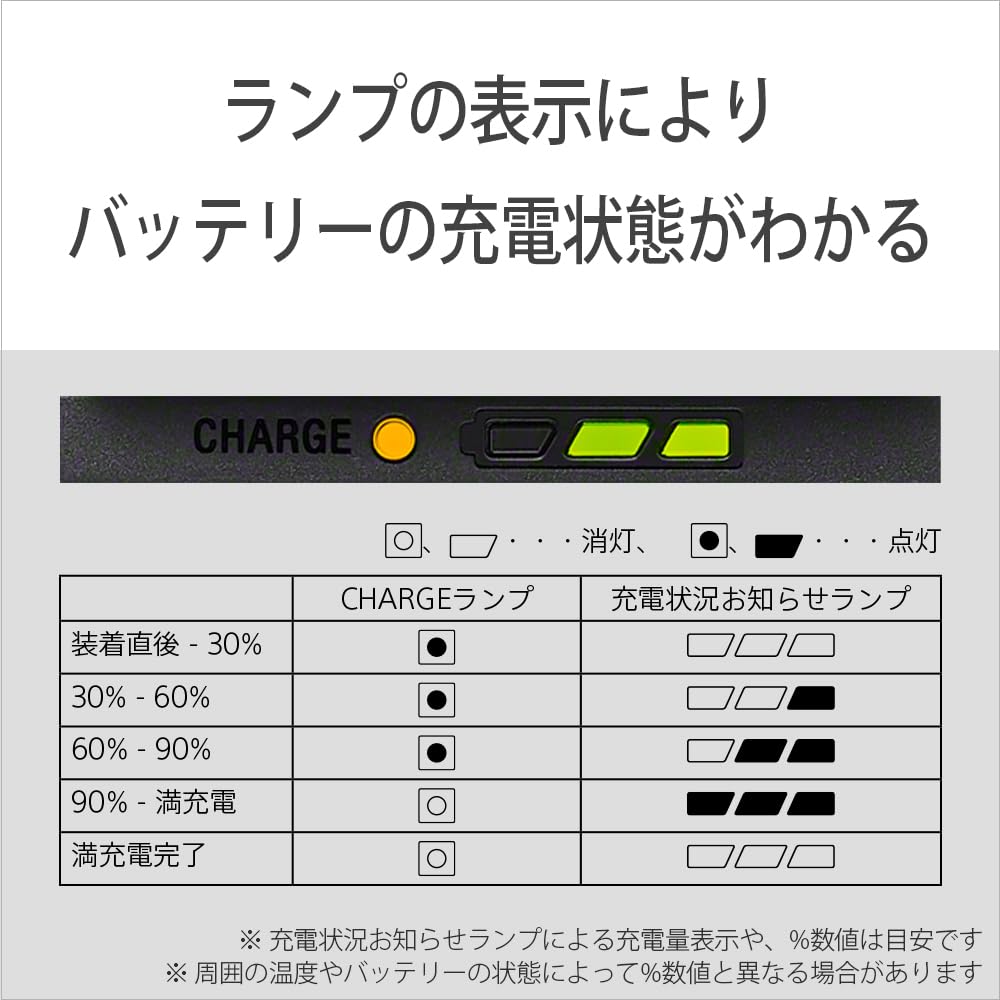 Sony Camera Charger BC-ZD1