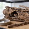 Укрытие-пещера для рептилий, натуральный коряжник для черепахи, ящерицы, геккона, скорпиона, паука, амфибии, украшение для террариума, среда обитания, лазание