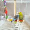 Bird Perch Toy Parrot 360° Rotating Stand Playing Cage Accessory Wooden Interactive