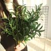 1Pc Artificial Olive Leaves Branch?Plant DIY Bouquet Wedding Party Home Decor