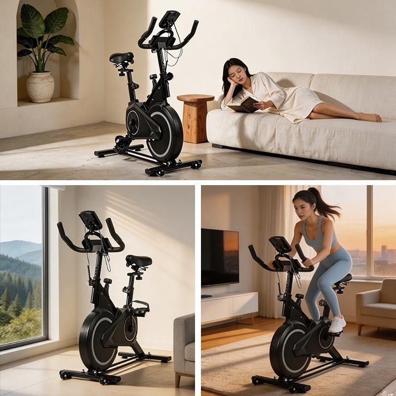 Junshi Indoor Quiet Stationary Exercise Bike CN plug (adapter included)
