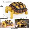 Ocean Wildlife Simulation Toy Set: Sea Turtle, Shark, Whale, Sea Lion, Tiger Shark, Manta Ray, Seal, Grouper.