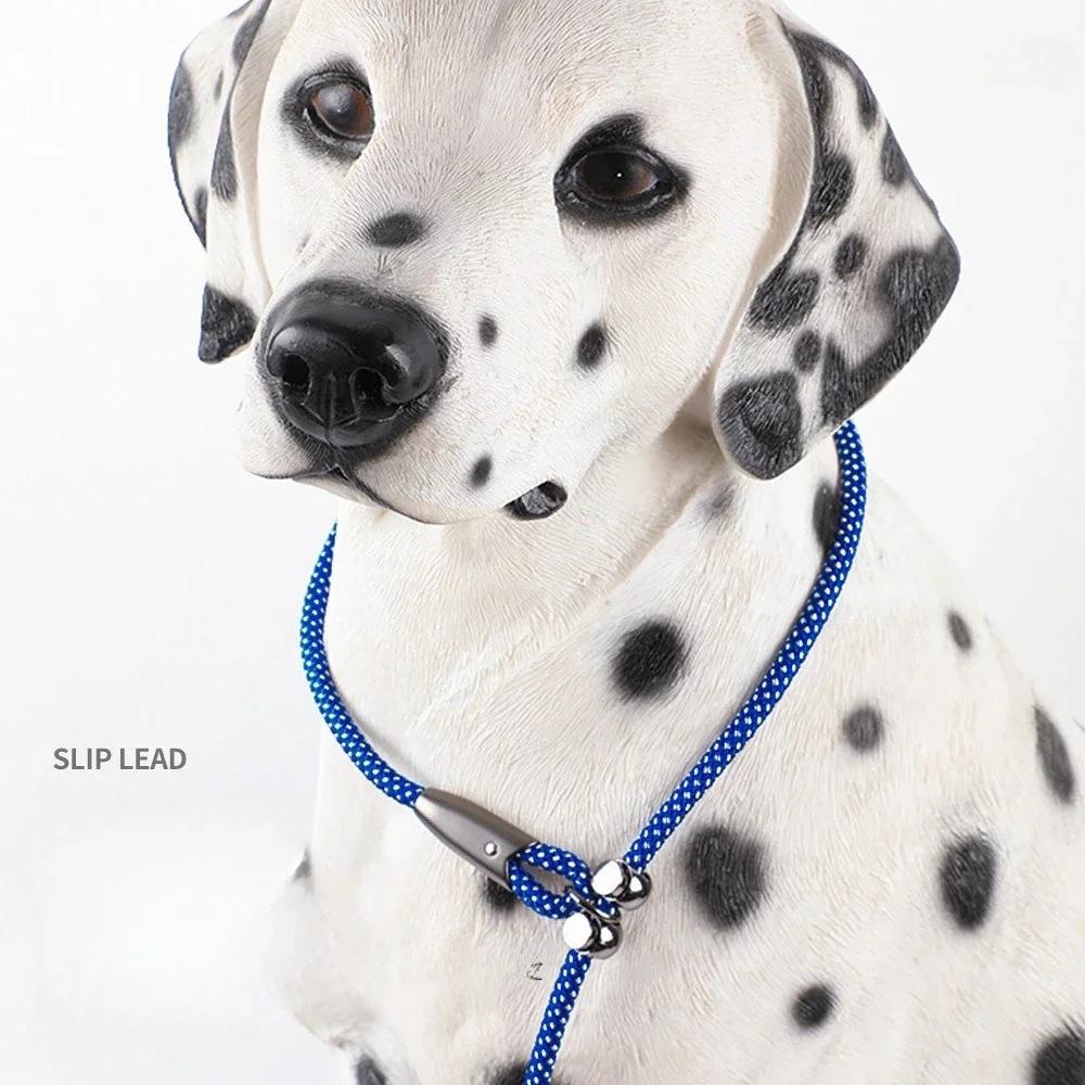 Anti Lock And Wear-resistant Training Explosion Proof P Traction Rope Dog Walking Leash Dog Accessories For Small Dogs